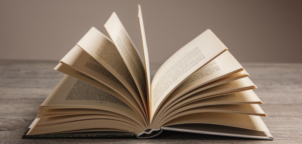 Buch aufgeschlagen