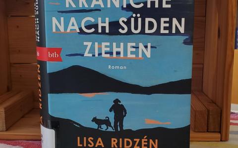 Buchcover blau